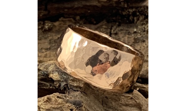 Big image wide bronze 1