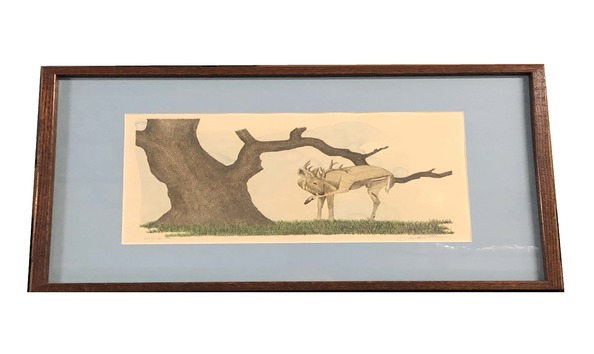 Big image deer under tree images page 1