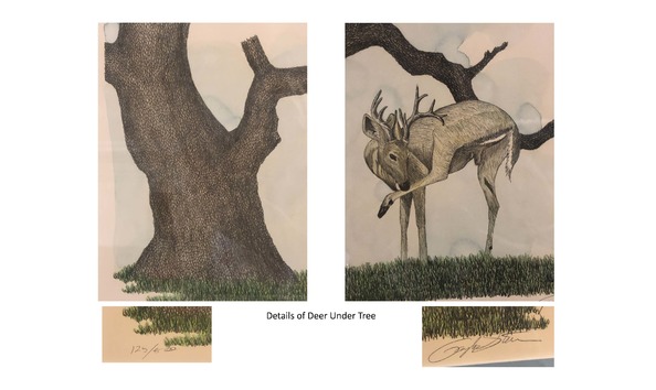 Big image deer under tree images page 2