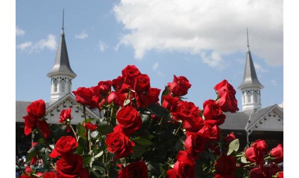 Big image pic kentucky derby roses