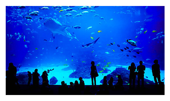 Big image pic georgian terrace aquarium 