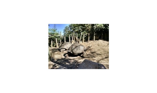 Big image mini magick20190722 96527 9q4fy3