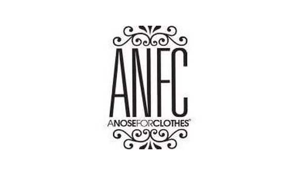 Big image anfc logo