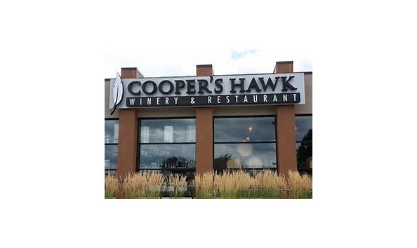 Big image mini magick20190801 56320 art8l4