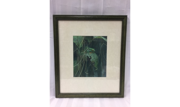 Big image robert bateman   red eyed tree frog