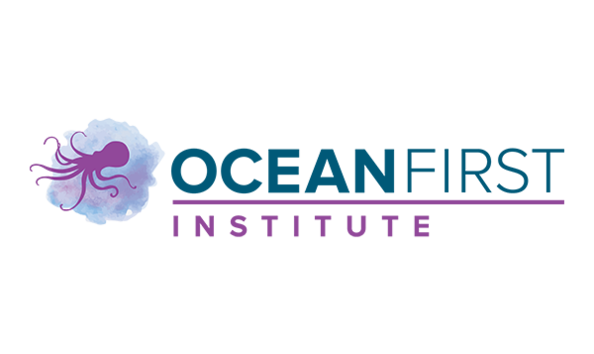 Big image big image ofi logo  6 