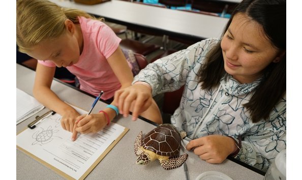 Big image big image summer camp 3