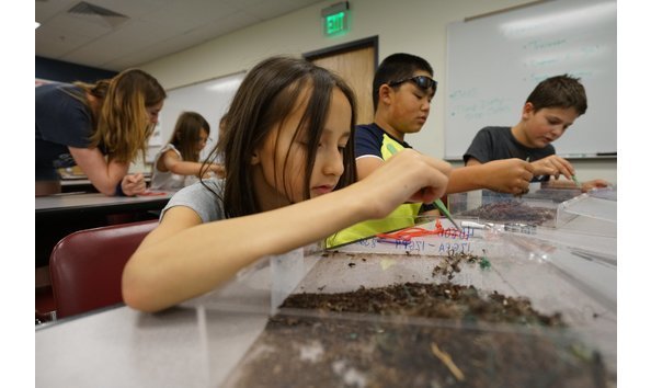 Big image big image summer camp 4