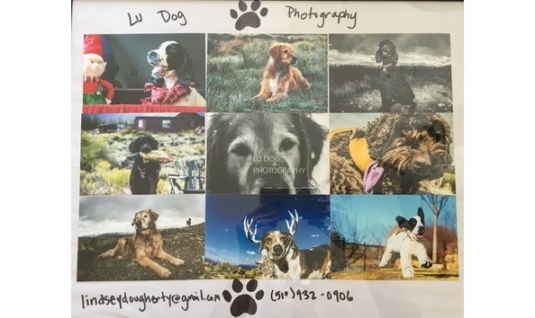 Big image big image pet photography 2