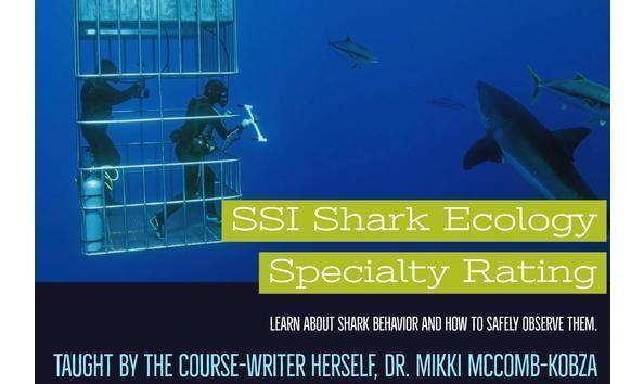 Big image big image ssi shark course