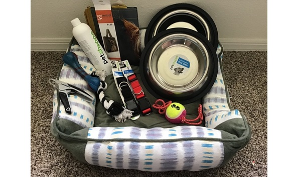 Big image unadjustednonraw thumb 17f