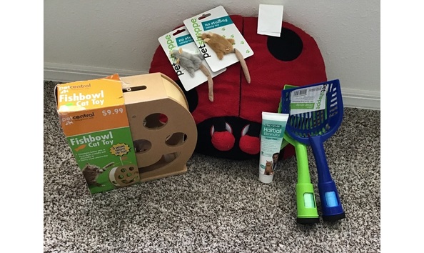 Big image unadjustednonraw thumb 17e