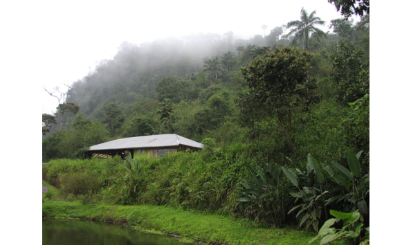 Big image cloud forest4