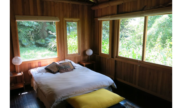 Big image cloud forest2