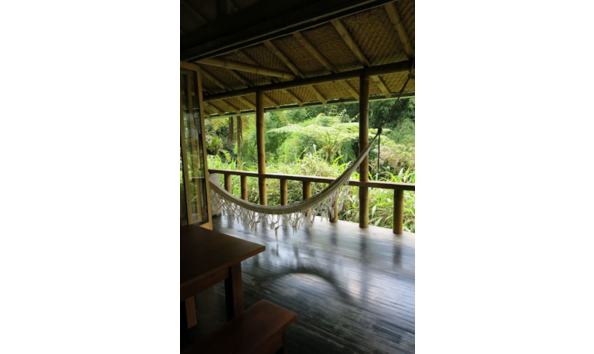 Big image cloud forest5