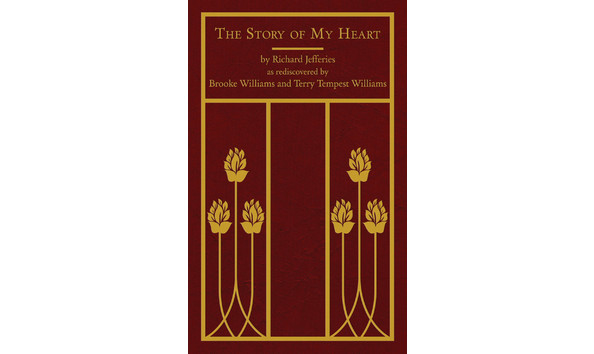 Big image the story of my heart cover medium