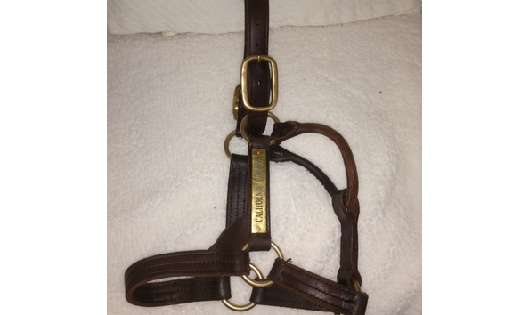 Big image californiachromenameplate2