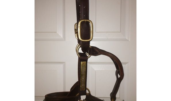 Big image californiachromehalter