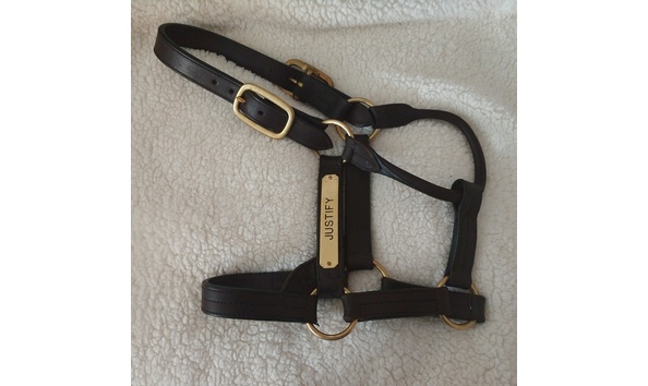 Big image justifyhalter1