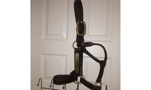 Big image justifyhalter2