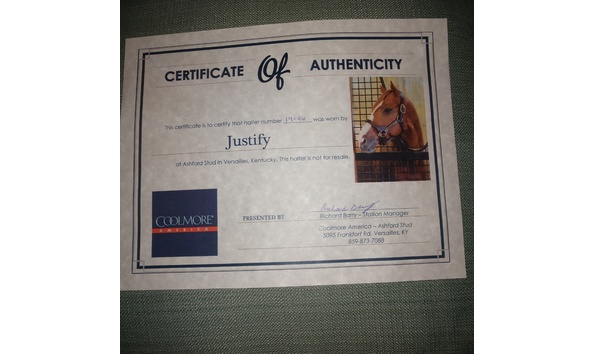 Big image justifycertificate