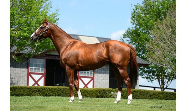 Big image californiachrome