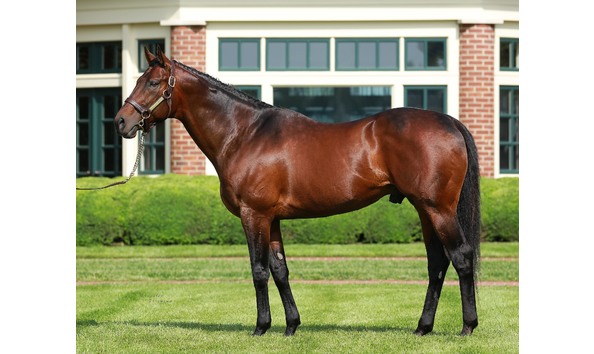 Big image quality road conformation