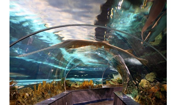 Big image mini magick20190809 123056 1rbdej0