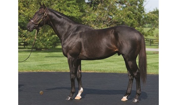 Big image revolutionary