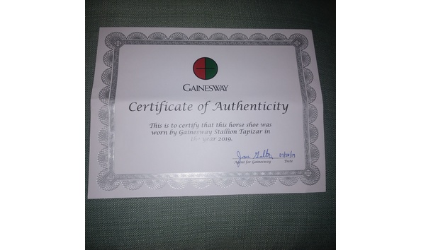 Big image tapizarcertificate