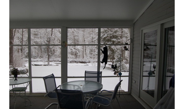 Big image unknown 10