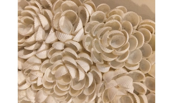 Big image img 6220 2