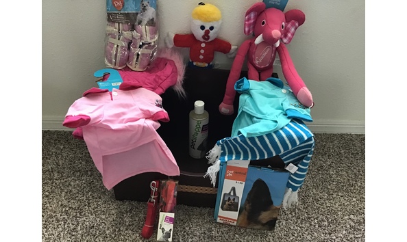 Big image auction dog package 1