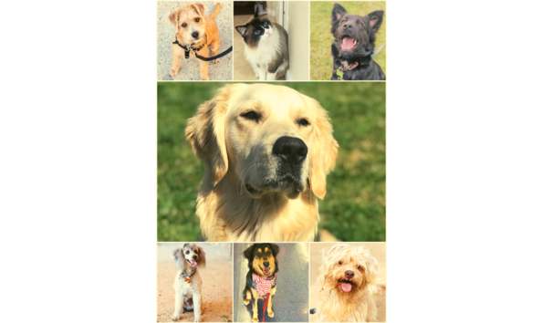 Organization Main Image