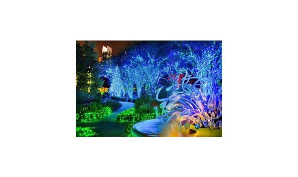 Big image mini magick20190817 31041 yznfns