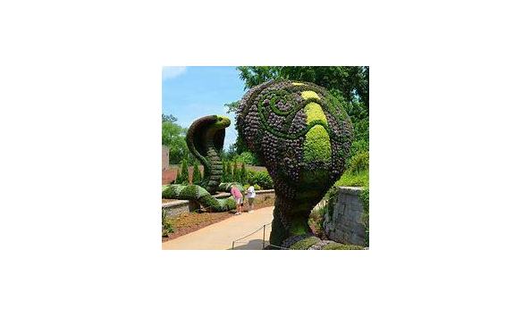 Big image mini magick20190817 31041 1gjx7c4