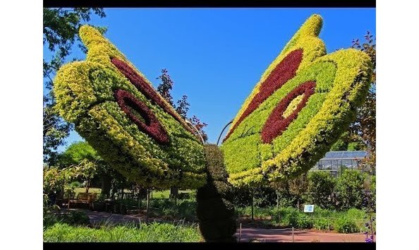 Big image mini magick20190817 31041 brurvf