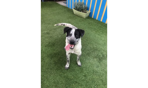 Big image img 6128 2