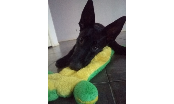 Big image 1553541218602