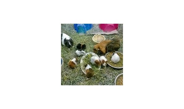 Big image 47386242 1066821113497829 6732337004274515968 n