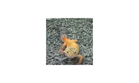 Big image 17883818 724800007699943 7858088481619322424 n