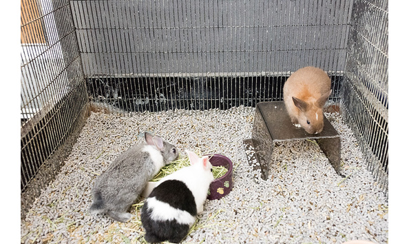 Big image gallery 0026 dsc 7236