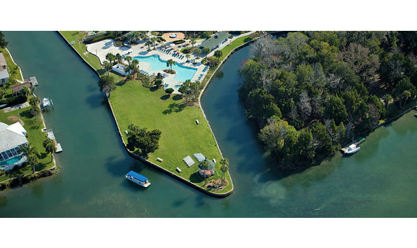 Big image plantation