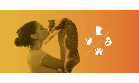 Big image fourpillarsbanner5