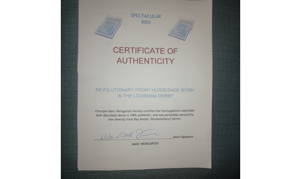 Big image revolutionary1