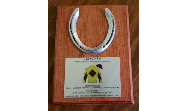 Big image graydarplaque