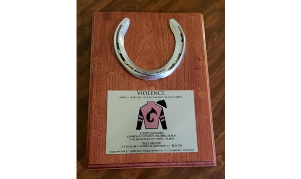 Big image violenceplaque