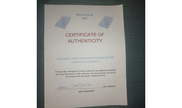 Big image violencecertificate