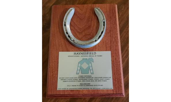 Big image haynesfieldplaque