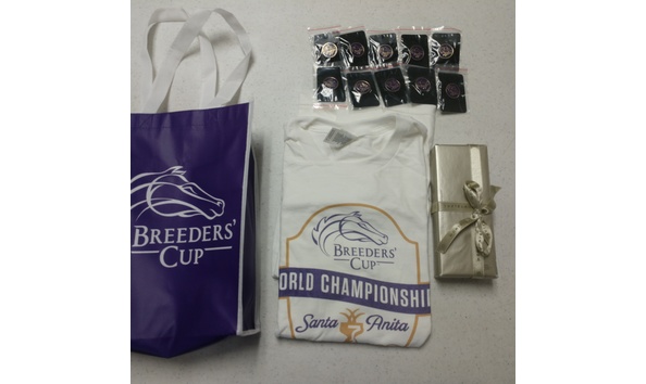 Big image bcpackagea1